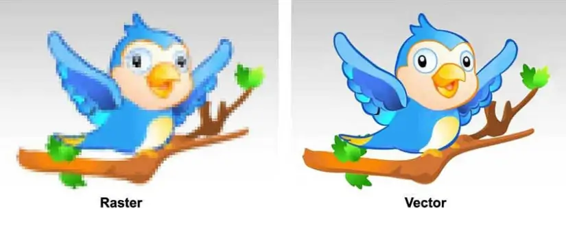 Blue bird raster to vector comparison