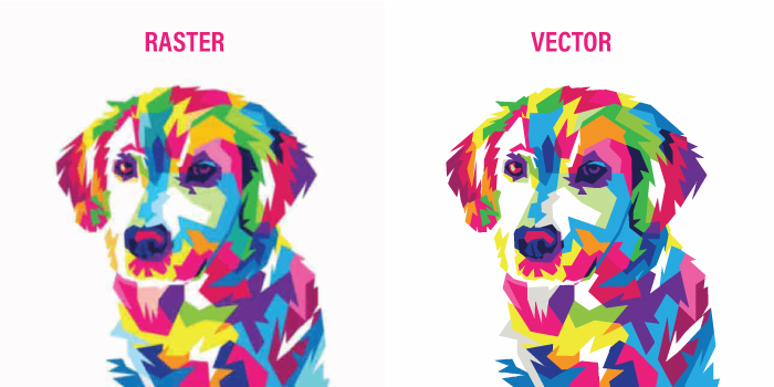 Dog raster to vector artwork comparison