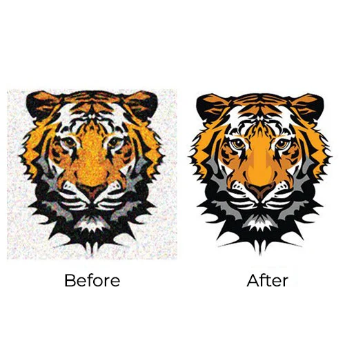 Vector before after tiger sample
